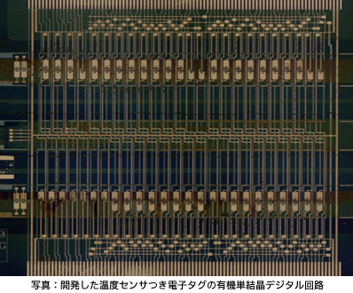 写真：開発した温度センサつき電子タグの有機単結晶デジタル回路