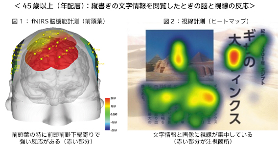 ＜45歳以上（年配層）：縦書きの文字情報を閲覧したときの脳と視線の反応＞