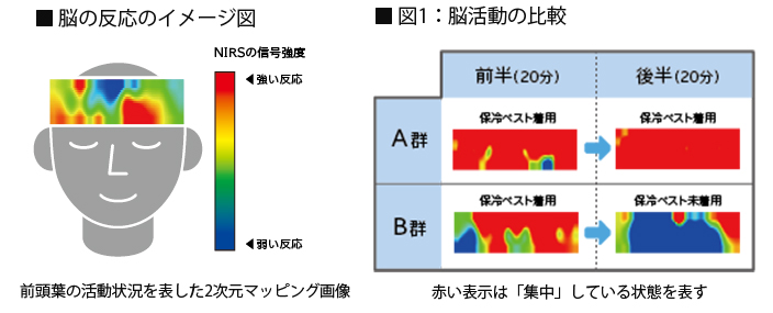 脳の反応のイメージ図、図1：脳活動の比較