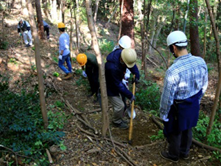 里山の保全活動の様子